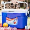 Hielera Guateplast Polar capacidad 16 litros